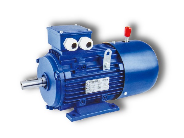 Y3EJ series Brake Motor