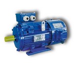 Y3VP series Variable-Frequency Motor