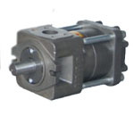 Inner Gear Pumps